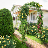 Tangkula Garden Arbor, Metal Arch with Trellis for Climbing Plants