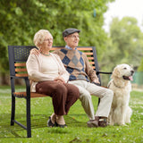 Tangkula 50” Outdoor Garden Bench, 2-Person Metal Patio Chair with Flag Pattern Backrest & Rustic Wood Grain Finish