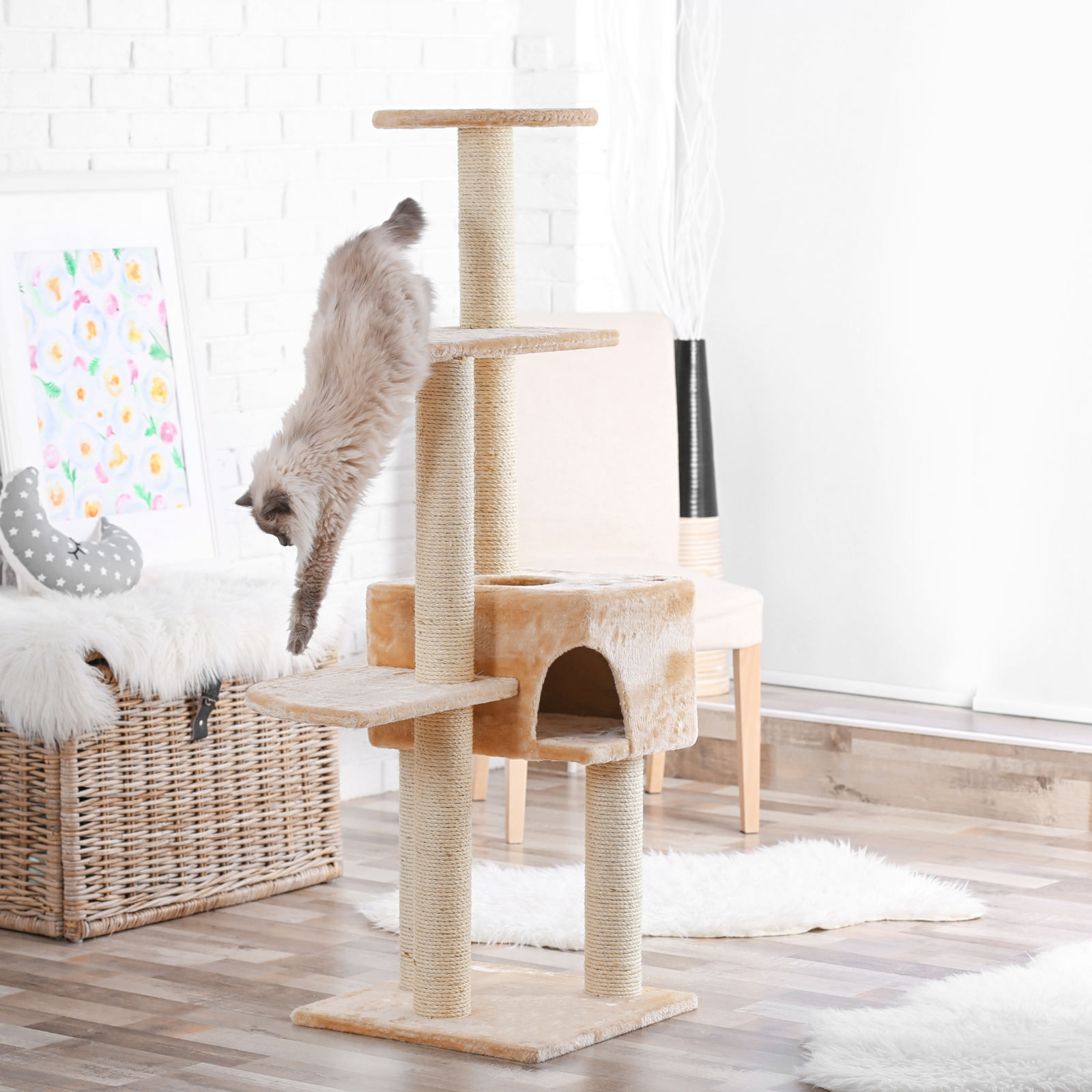 The Top 20 Most Frequently Asked Questions About Indoor Cat Trees