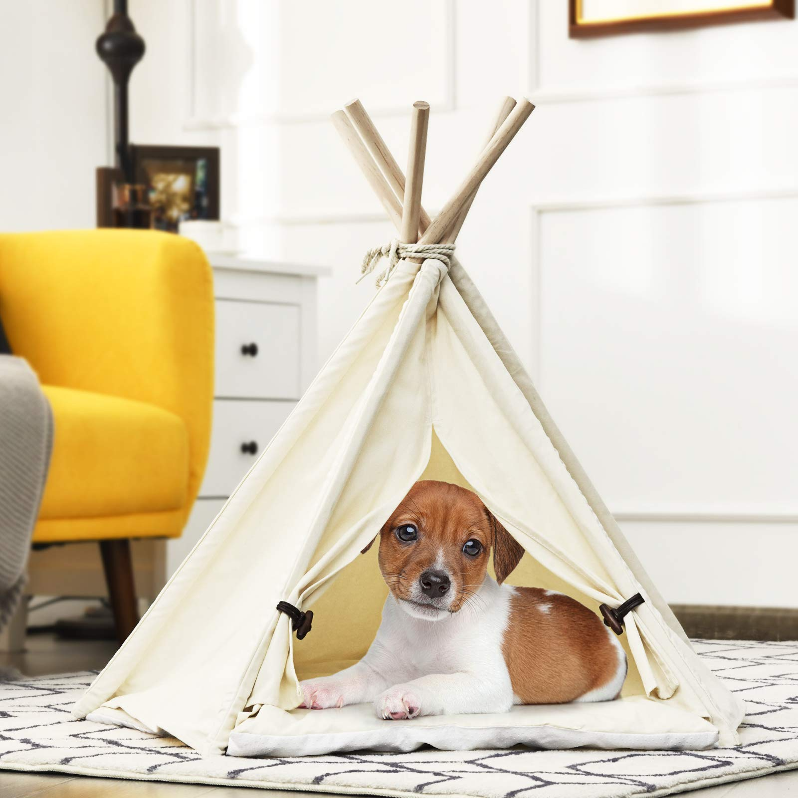 What Kind of Enclosure Will Your Pets Like?
