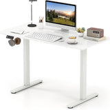 Tangkula 48" x 24" Electric Standing Desk