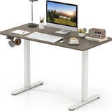 Tangkula 48" x 24" Electric Standing Desk