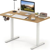 Tangkula 48" x 24" Electric Standing Desk