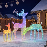 3-Piece RGB Lighted Christmas Deer Family Set with APP Control