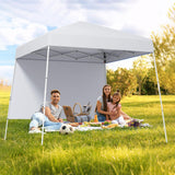 Tangkula Pop Up Canopy with Sidewall (10x10 FT)