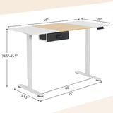 Tangkula 55” x 28” Height Adjustable Electric Standing Desk, Ergonomic Sit Stand Desk