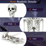 Tangkula Halloween Life Size Full Body Skeleton, 5.4Ft Festival Skeleton Prop Decoration