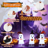 Tangkula Set of 3 Lighted Halloween Decorations Outdoor/Indoor