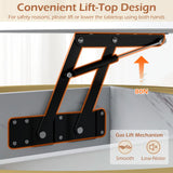 Tangkula Lift Top Coffee Table 31.5" Round Center Table with Hidden Compartment & Side Shelves