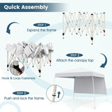 Tangkula Pop Up Canopy with Sidewall (10x10 FT)