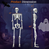 Tangkula Halloween Life Size Full Body Skeleton, 5.4Ft Festival Skeleton Prop Decoration