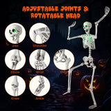 Tangkula Poseable Halloween Skeleton with Pumpkin Head