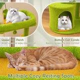 Tangkula Palm Cute Cat Tree with Sisal Scratching Posts