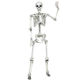 Tangkula Halloween Life Size Full Body Skeleton, 5.4Ft Festival Skeleton Prop Decoration