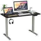 Electric Dual Motor Standing Desk, 48 x 24/48 x 30 Inch Height Adjustable Sit Stand Computer Workstation