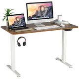 Electric Dual Motor Standing Desk, 48 x 24/48 x 30 Inch Height Adjustable Sit Stand Computer Workstation