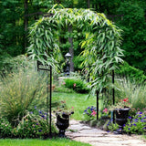6.8 Ft Garden Arbor, Metal Arch with Trellis for Climbing Plant, Vines, Flowers