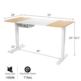 55"x 28" Height Adjustable Electric Standing Desk, Sit Stand Desk w/Control Panel & USB Port