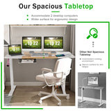 55"x 28" Height Adjustable Electric Standing Desk, Sit Stand Desk w/Control Panel & USB Port